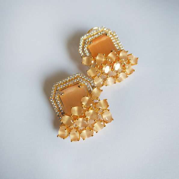 Orange Earing (02) (1)